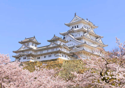 8 DAYS WEST KANSAI PRIVATE TOUR