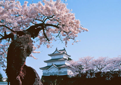 10天甲信越私人包團