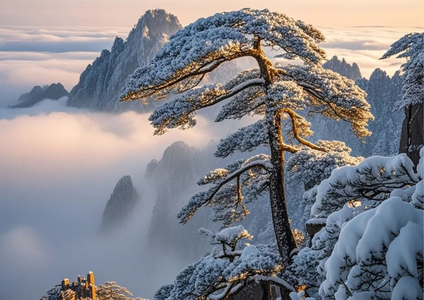 7日間の黄山プライベートツアー