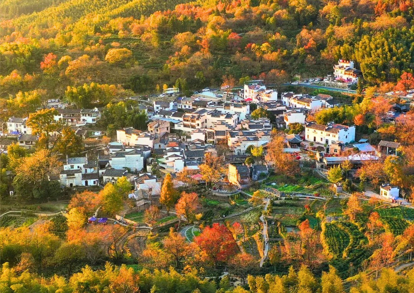 7日間の黄山プライベートツアー