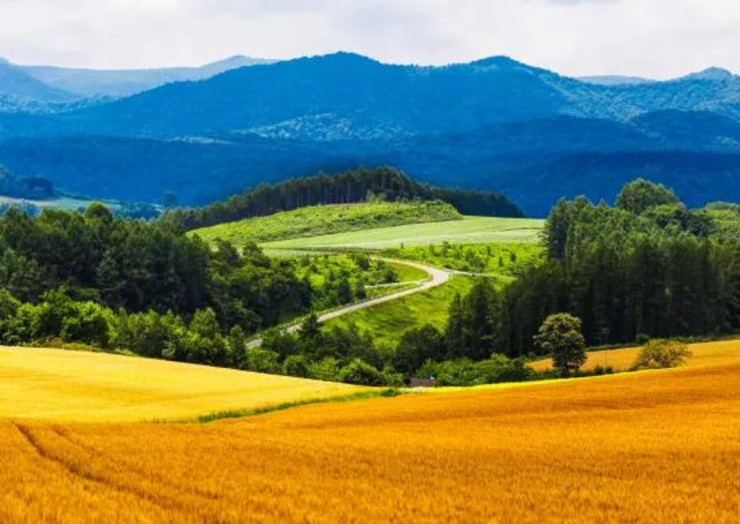 6 天北海道道東私人包團