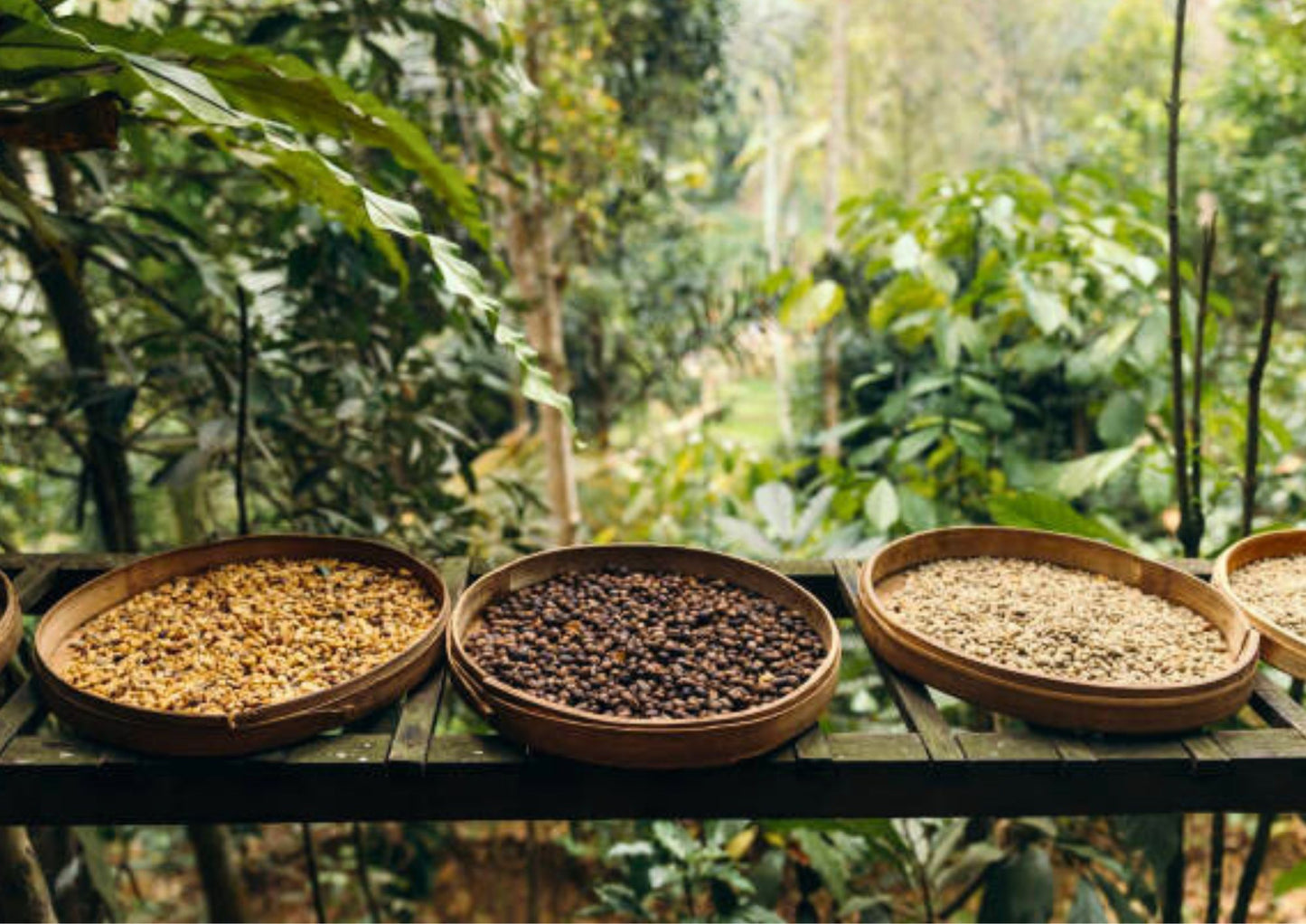 6 DAYS BALI PRIVATE TOUR