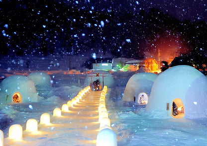 10天甲信越私人包團