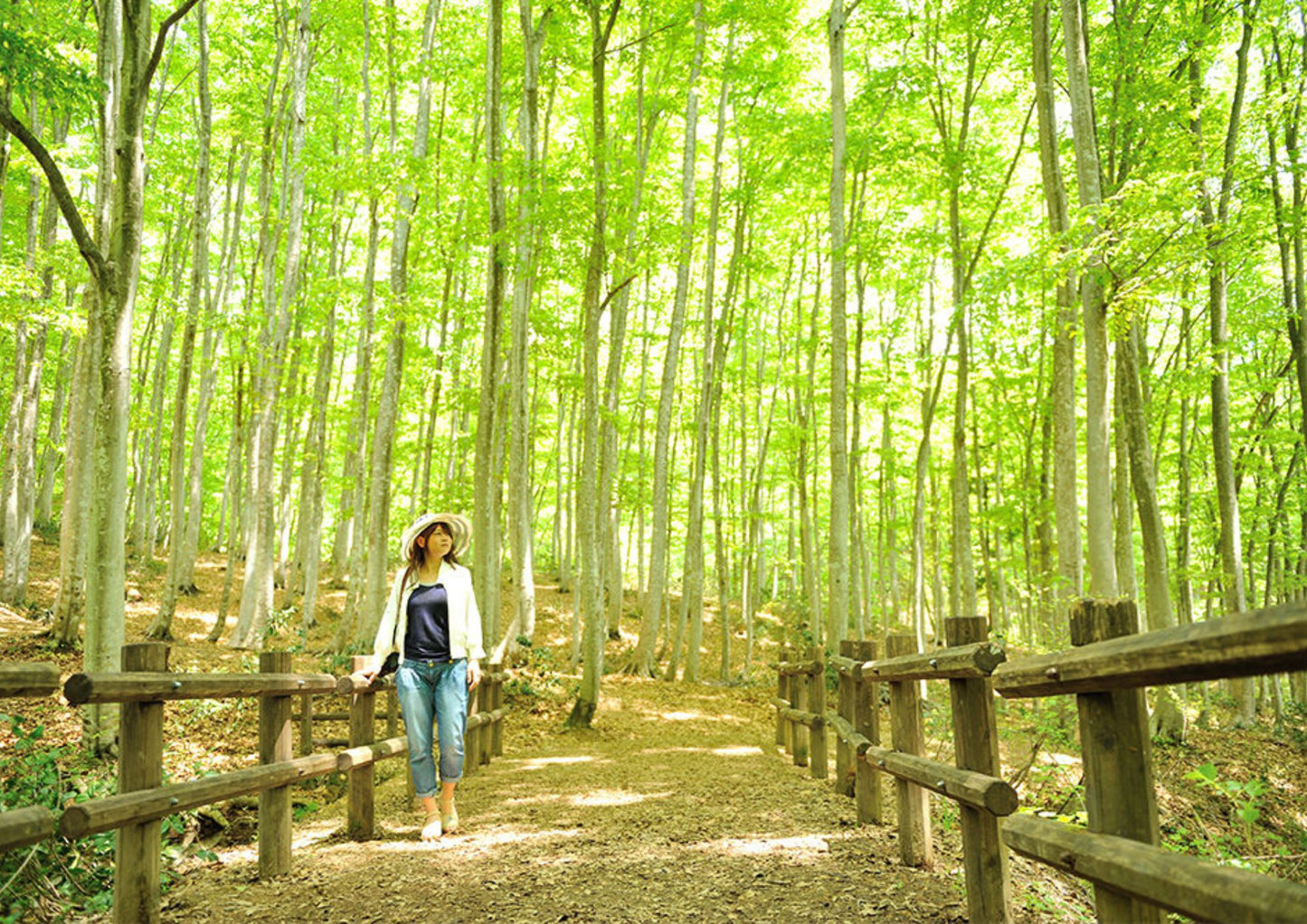 10天甲信越私人包團