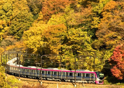 7日間の南関東プライベートチャーター