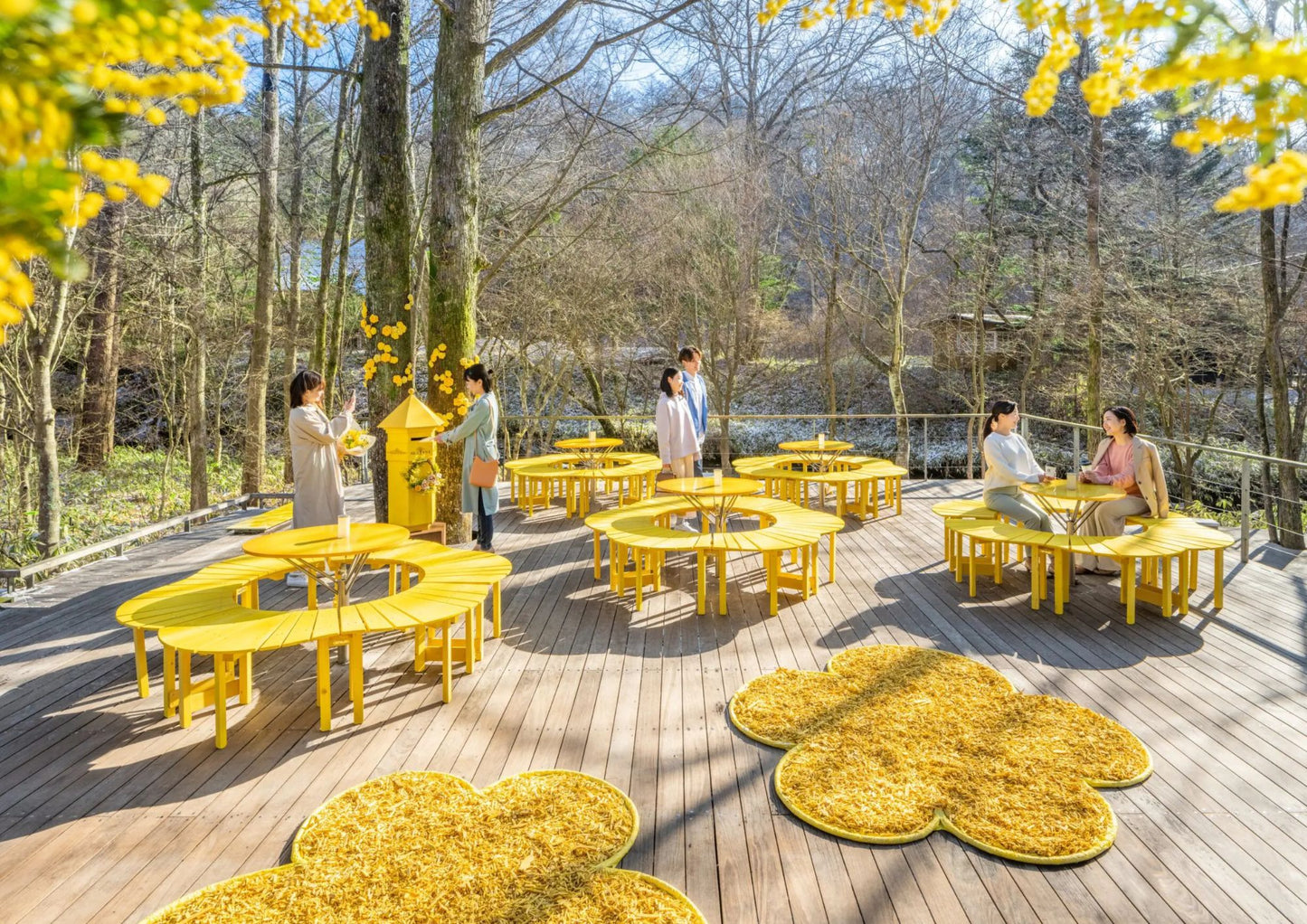 12日間の甲信越プライベートツアー