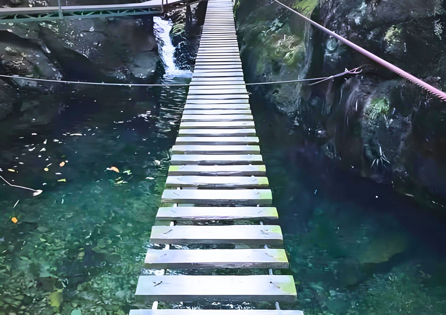 4 DAYS QINGYUAN PRIVATE TOUR