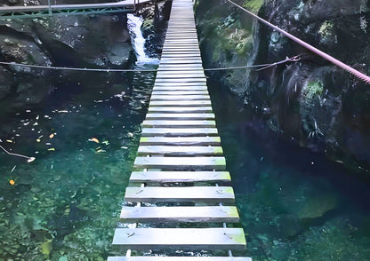 4 DAYS QINGYUAN PRIVATE TOUR