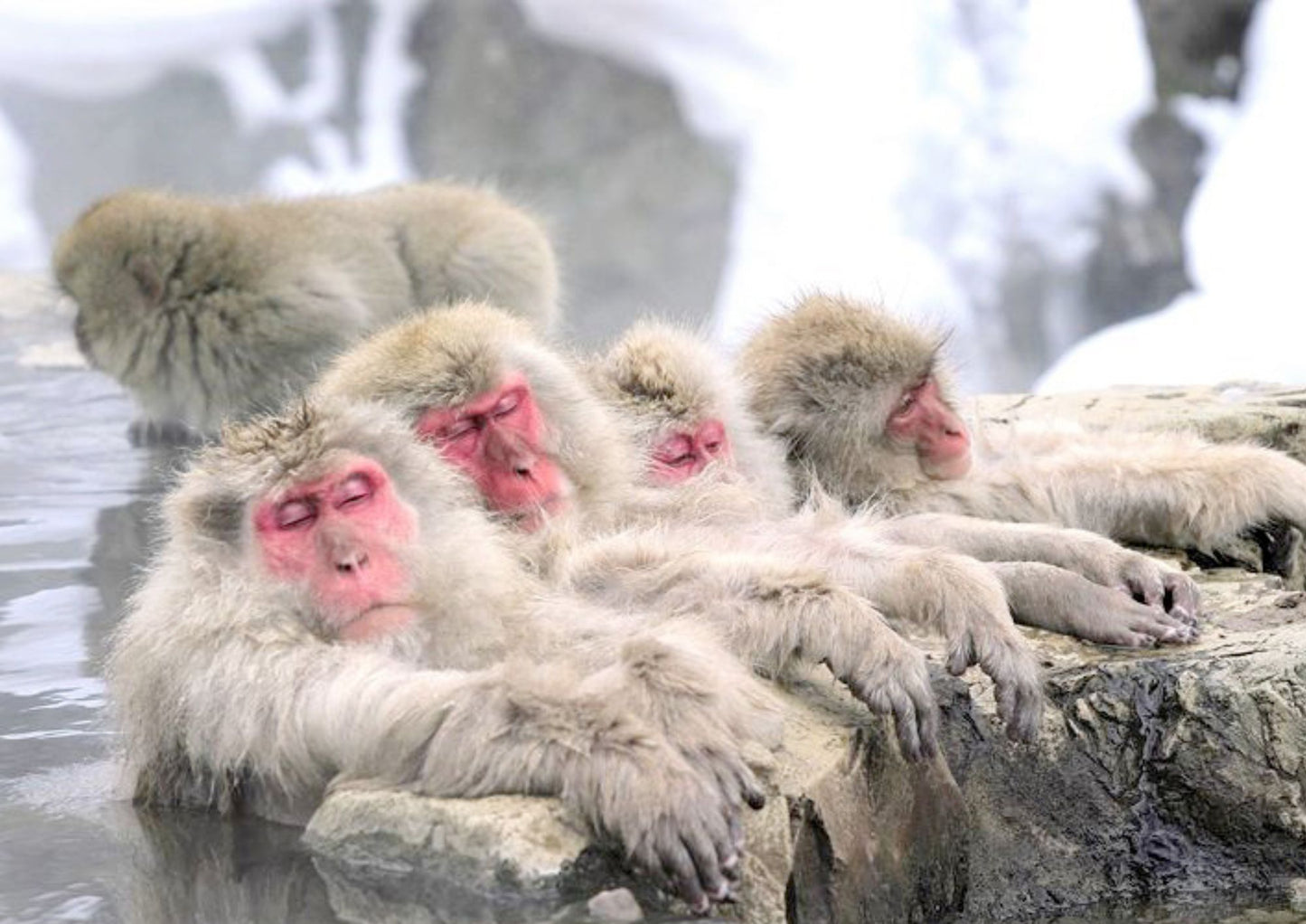 14日間の甲信越プライベートツアー