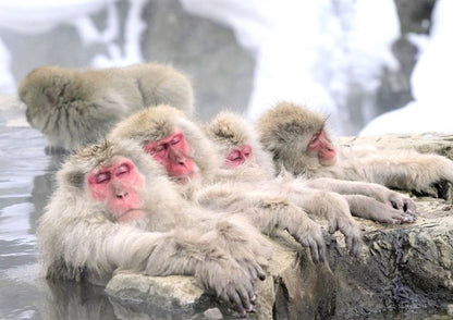 14日間の甲信越プライベートツアー