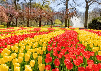 11 天荷蘭、比利時、盧森堡私人包團