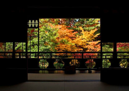 10天甲信越私人包團