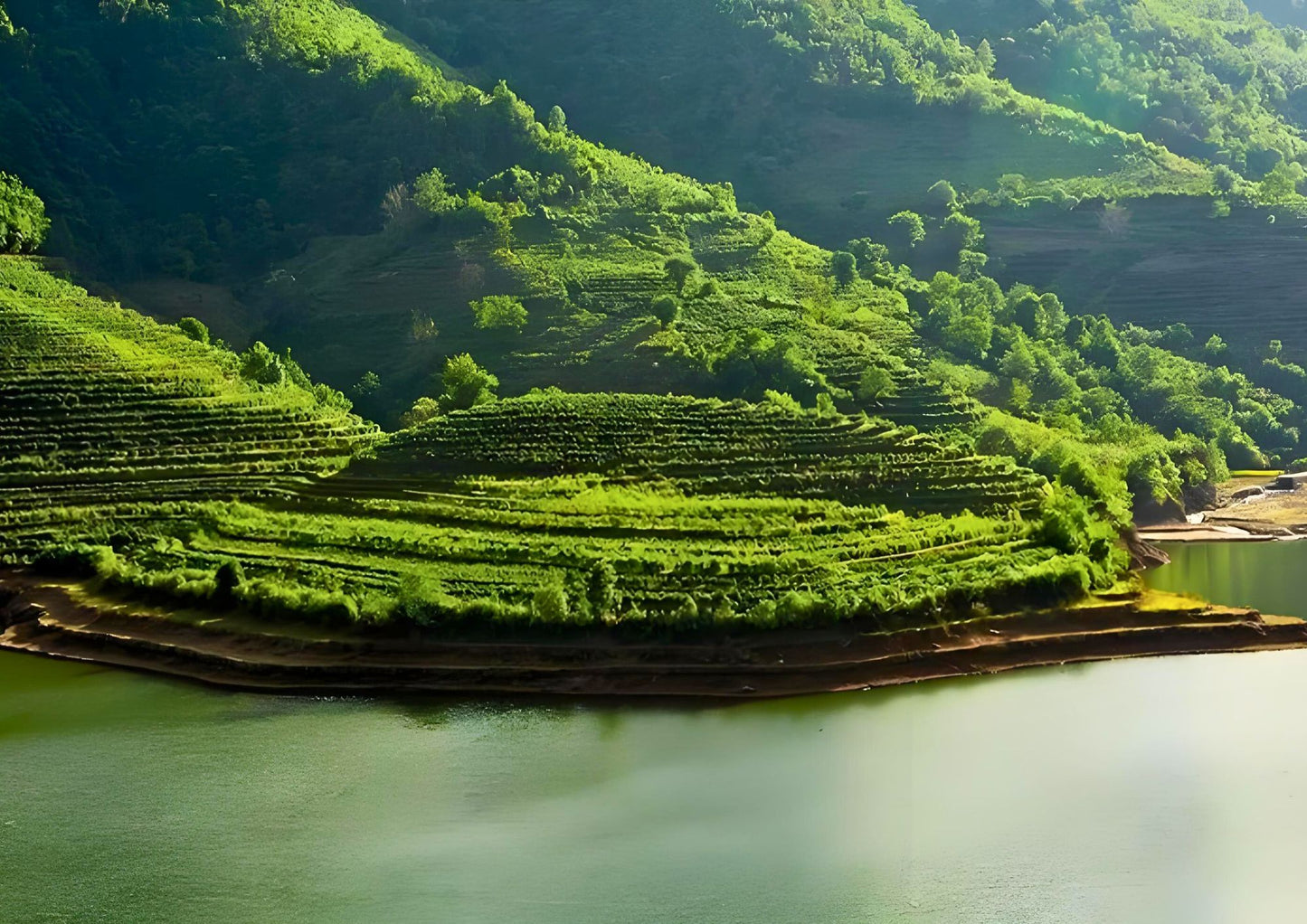 14 DAYS XISHUANGBANNA PRIVATE TOUR