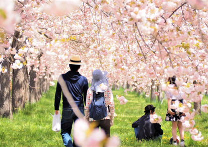 10天甲信越私人包團