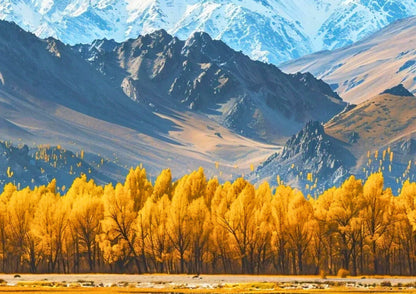 10 DAYS NORTH & EAST XINJIANG PRIVATE TOUR