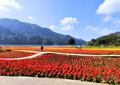 3 DAYS GUANGZHOU & CONGHUA PRIVATE TOUR