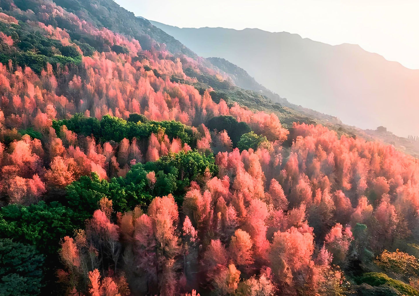 3 DAYS GUANGZHOU & CONGHUA PRIVATE TOUR