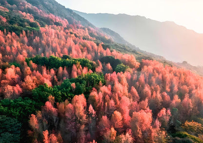 3 DAYS GUANGZHOU & CONGHUA PRIVATE TOUR