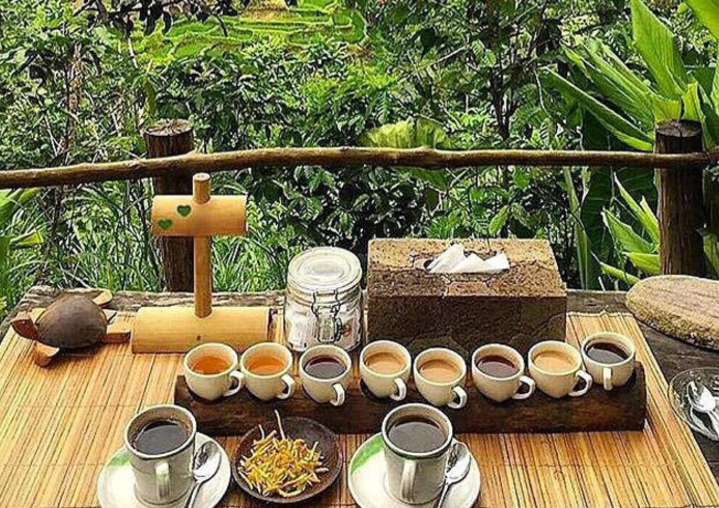 6 DAYS BALI PRIVATE TOUR