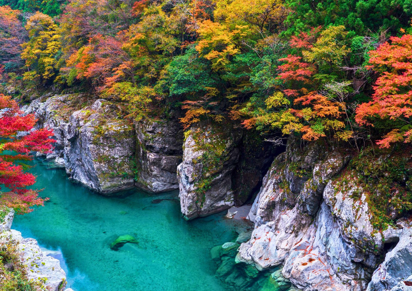 5 DAYS SHIKOKU PRIVATE TOUR