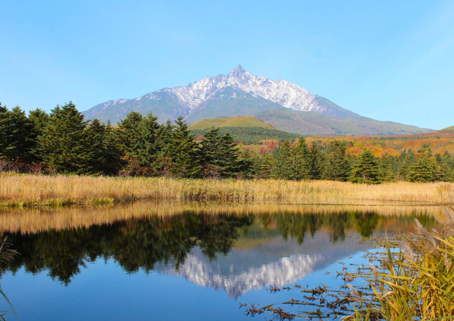 8 DAYS NORTH HOKKADIO PRIVATE TOUR