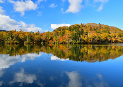 7 DAYS EAST HOKKADIO PRIVATE TOUR