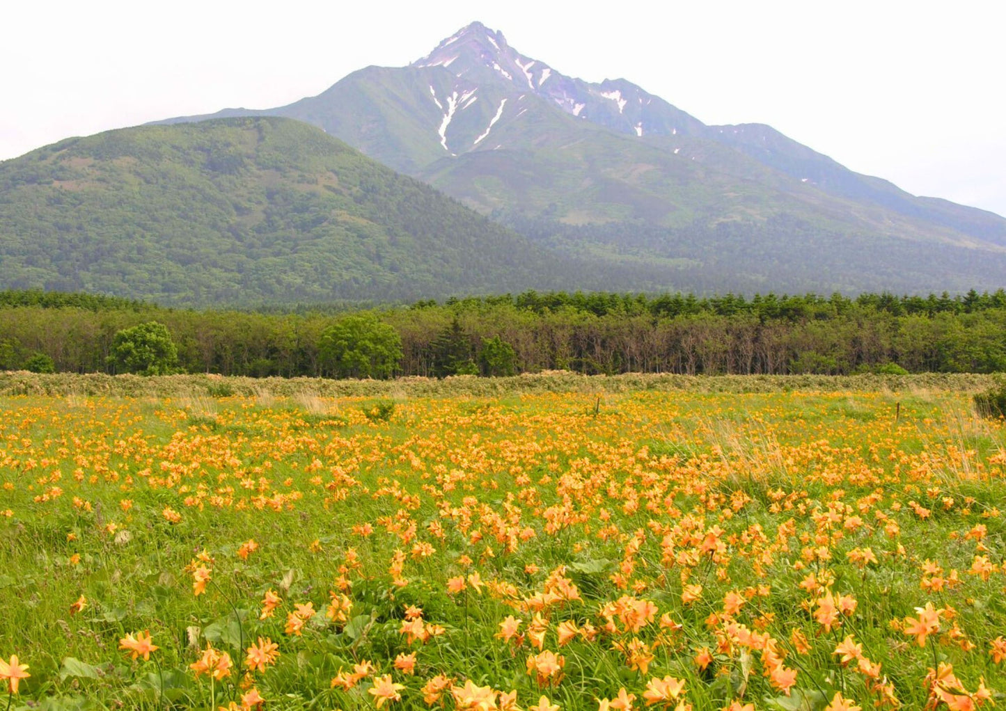 8 DAYS NORTH HOKKADIO PRIVATE TOUR