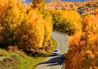 10 DAYS NORTH & EAST XINJIANG PRIVATE TOUR