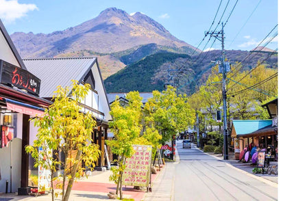 7 DAYS NORTH KYUSHU PRIVATE TOUR