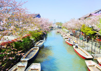 5 DAYS NORTH KYUSHU PRIVATE TOUR