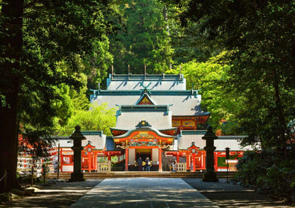 7 DAYS SOUTH KYUSHU PRIVATE TOUR