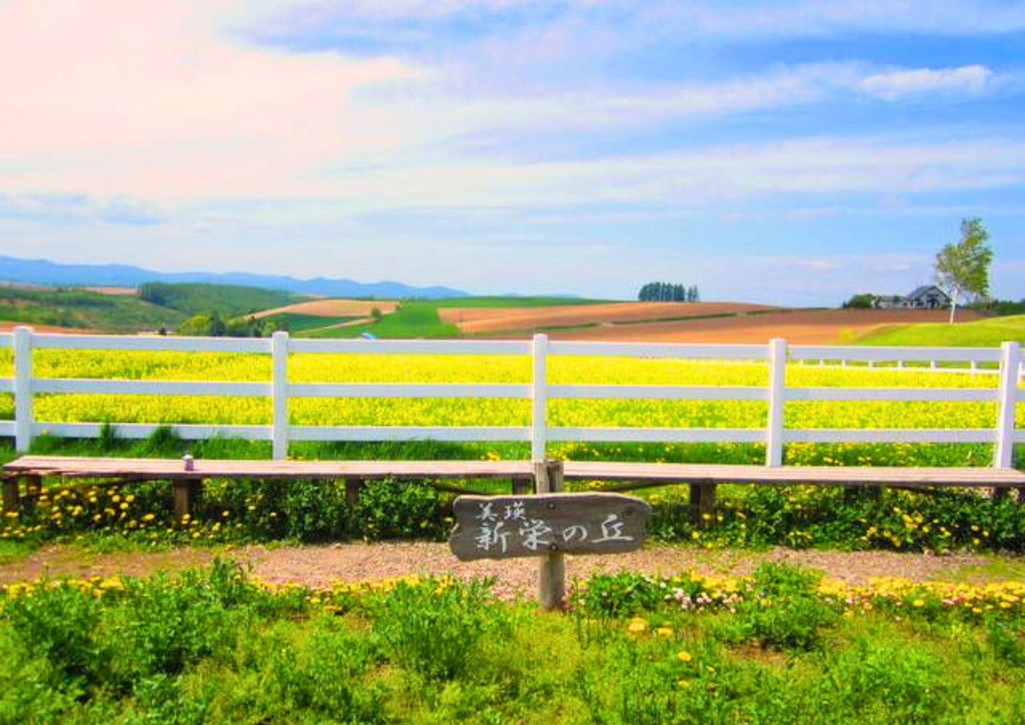 7 天北海道道東私人包團