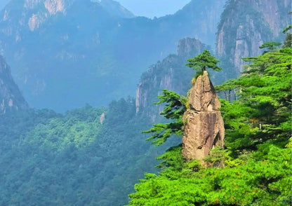 7日間の黄山プライベートツアー