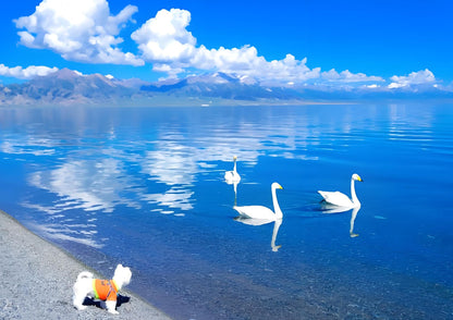 10 DAYS NORTH & WEST XINJIANG PRIVATE TOUR