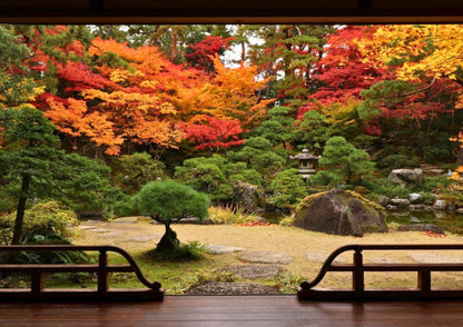 10天甲信越私人包團