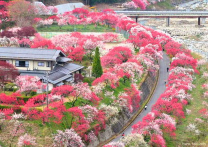 7 DAYS TATEYAMA PRIVATE TOUR