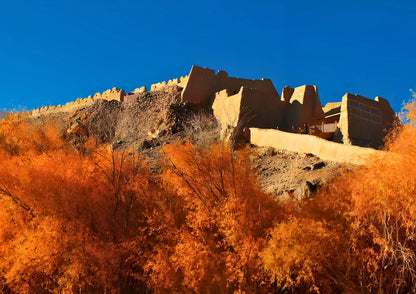 7 DAYS SOUTH XINJIANG PRIVATE TOUR
