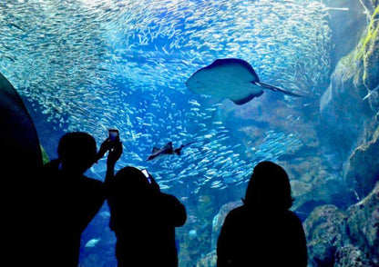 10天甲信越私人包團