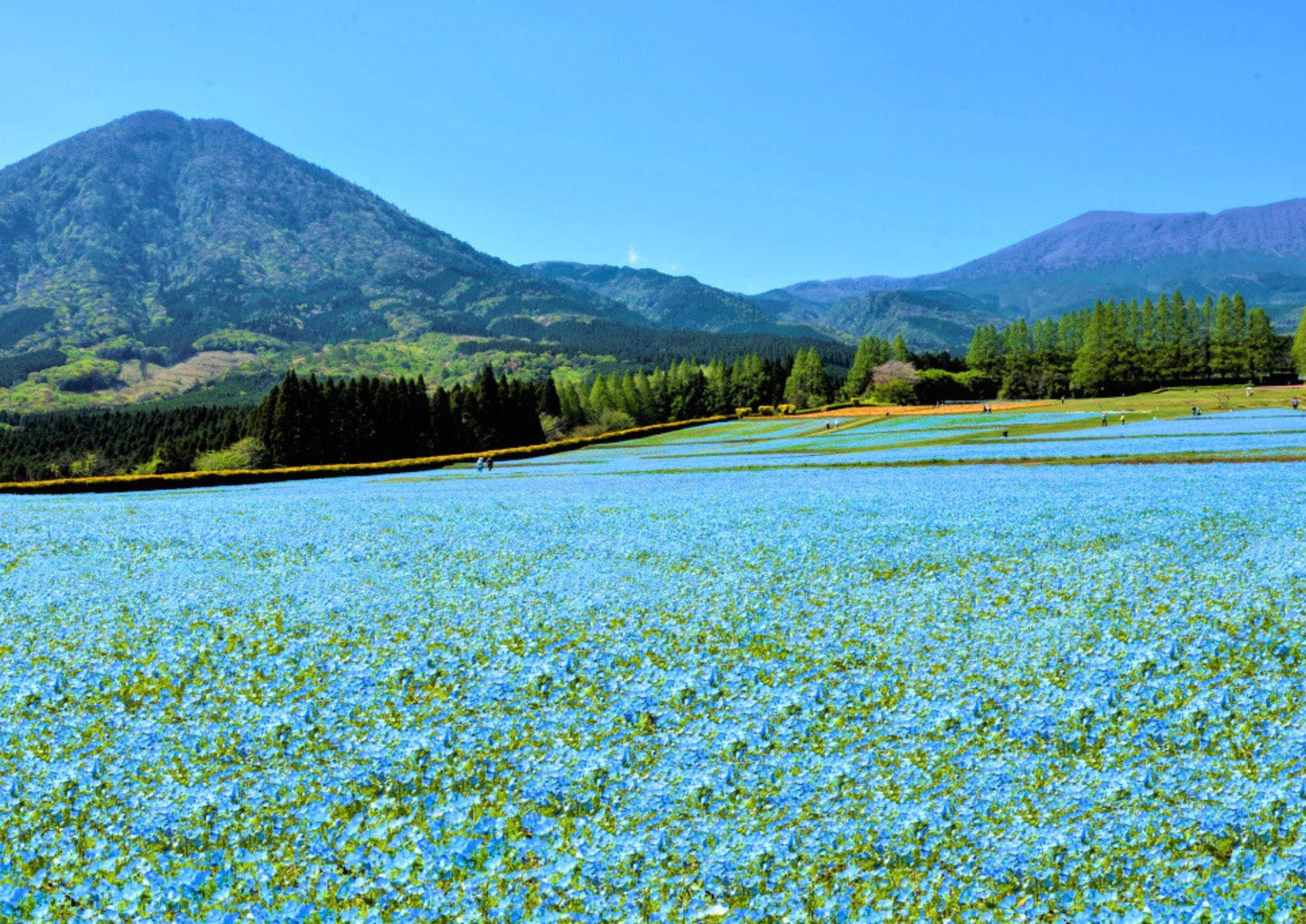 7 DAYS SOUTH KYUSHU PRIVATE TOUR