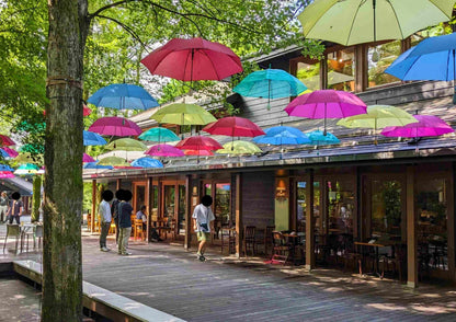 12日間の甲信越プライベートツアー