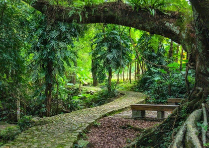 3 DAYS GUANGZHOU & CONGHUA PRIVATE TOUR