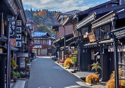 5 DAYS SHIRAKAWA-GO PRIVATE TOUR