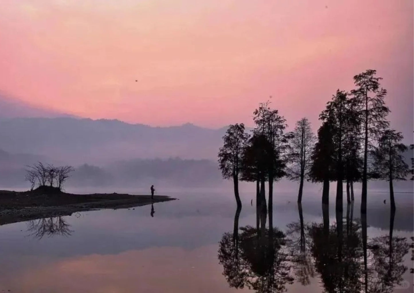7日間の黄山プライベートツアー