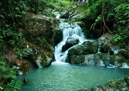 3 DAYS GUANGZHOU & CONGHUA PRIVATE TOUR