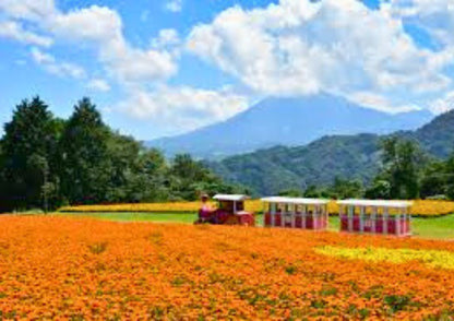 14天山陽・山陰私人包團