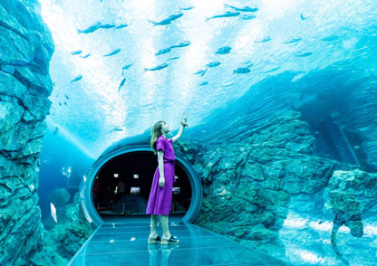 10天甲信越私人包團