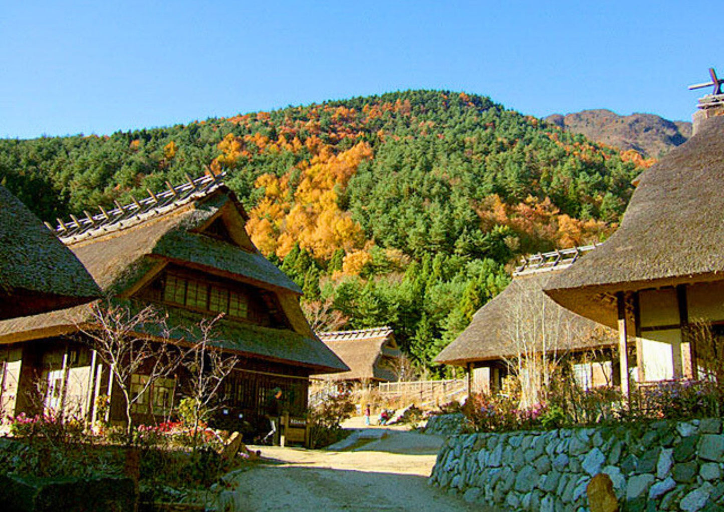 10天甲信越私人包團