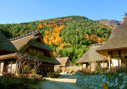 10天甲信越私人包團