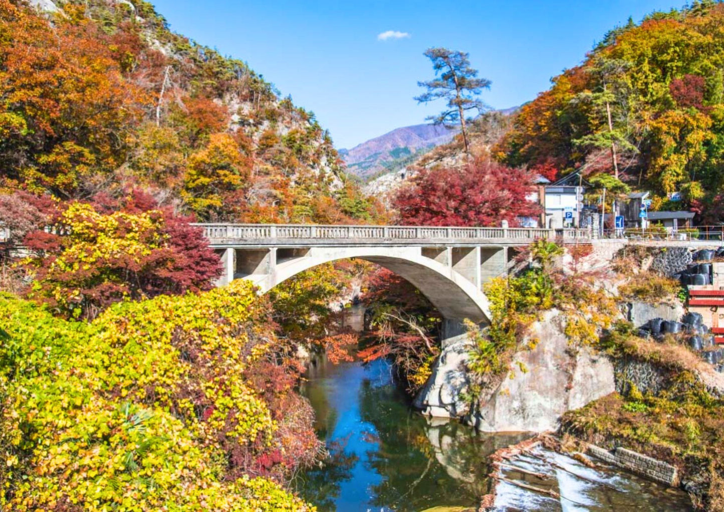 10天甲信越私人包團