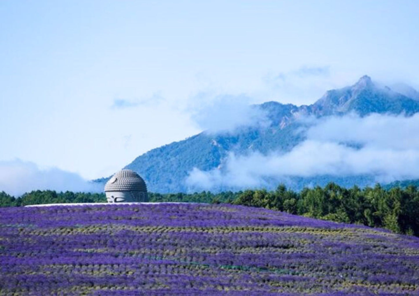 7 DAYS CENTRAL HOKKADIO PRIVATE TOUR